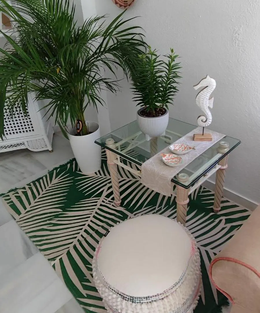 Marbella Suite 0*,  Spain